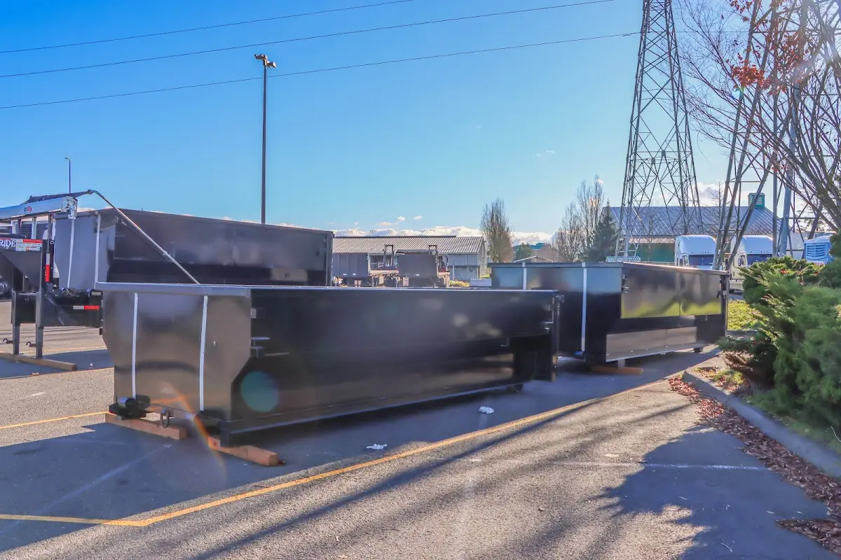 Professional dumpster rental and junk removal service in Blue Ridge
